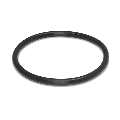 NBR Fuel Tank Pump Seal NBR Fuel Tank Pump Seal